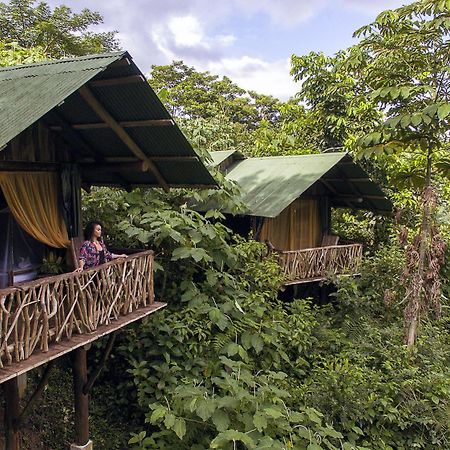 La Tigra Rainforest Lodge La Fortuna Extérieur photo