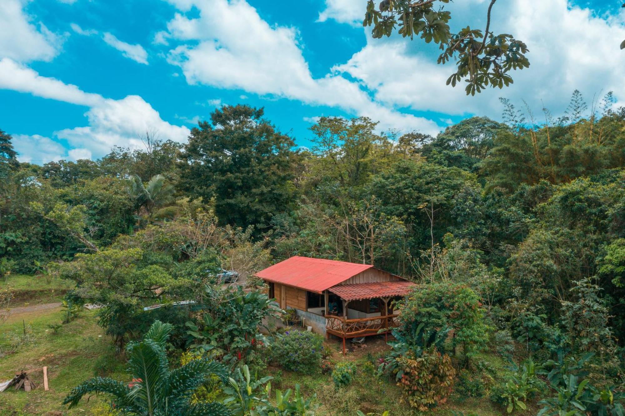 La Tigra Rainforest Lodge La Fortuna Extérieur photo