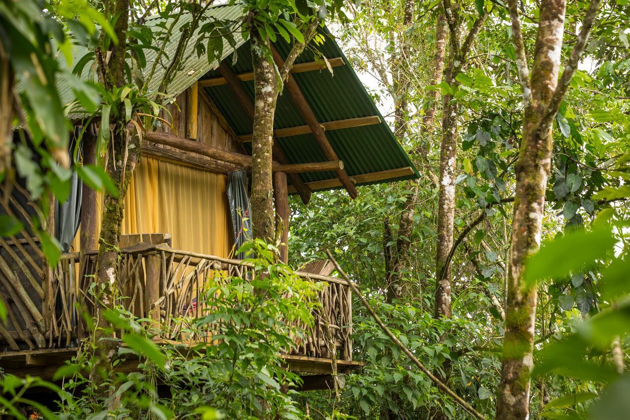 La Tigra Rainforest Lodge La Fortuna Extérieur photo