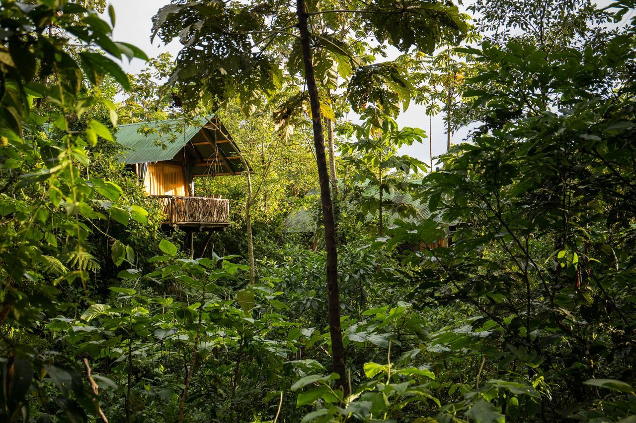 La Tigra Rainforest Lodge La Fortuna Extérieur photo