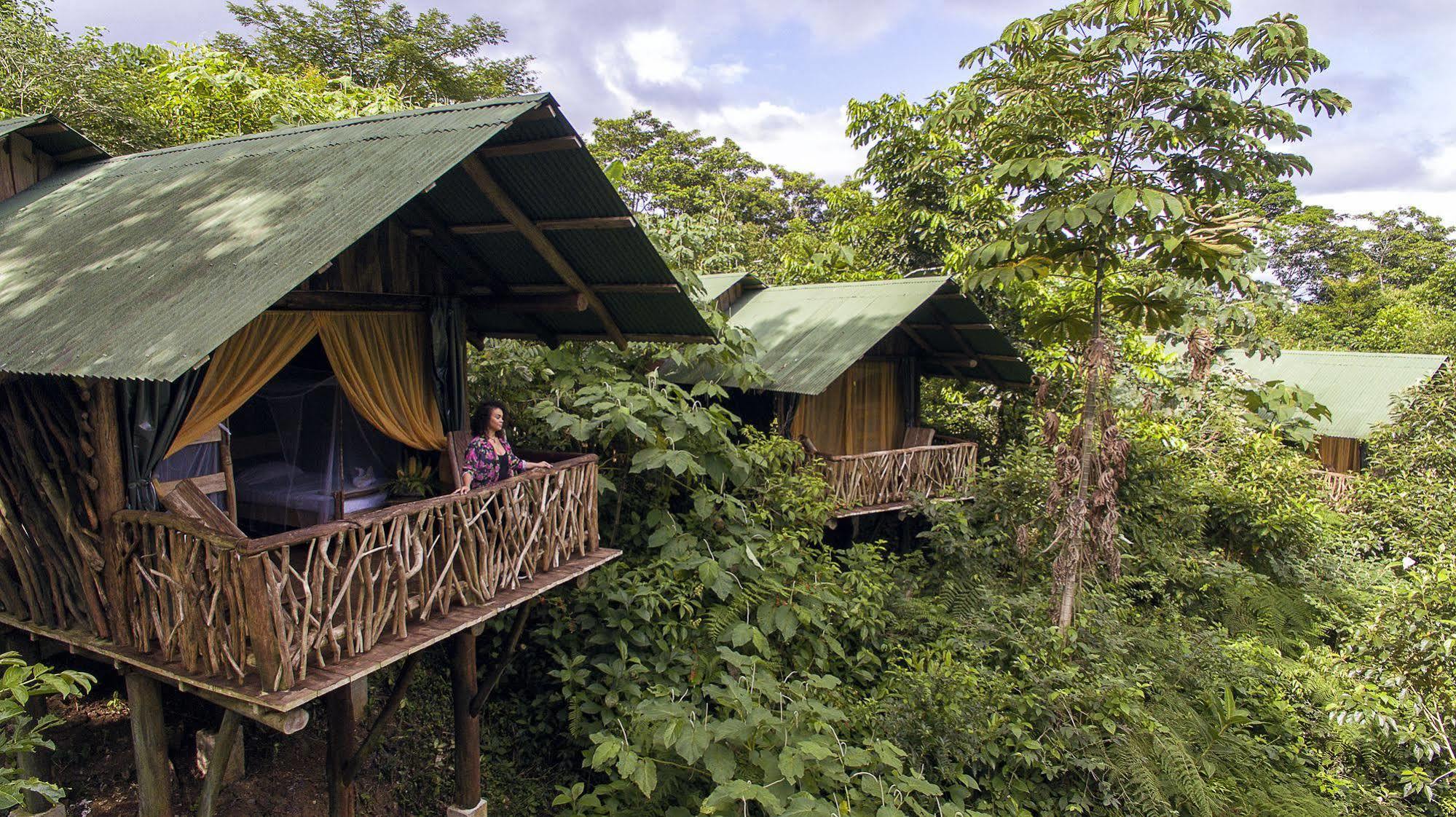 La Tigra Rainforest Lodge La Fortuna Extérieur photo